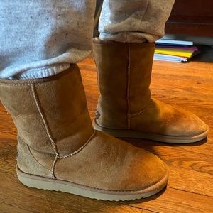 Ugg Boots – Classic Short in Chestnut